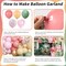 Nutcracker Christmas Fairy Balloon Garland Arch Kit – Sage Green, Pink, White, and Blush Latex Balloons for Christmas, Candyland, Easter, Wedding, and Birthday Party Decor